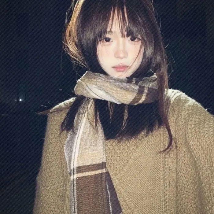 侠盗高飞